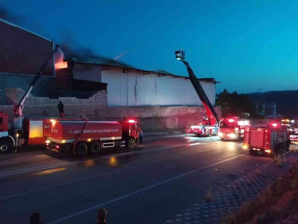 Gaziantep’te halı fabrikasında korkutan yangın