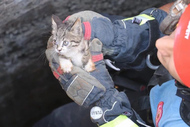 Su kuyusuna düşen kedi yavrusu kurtarıldı