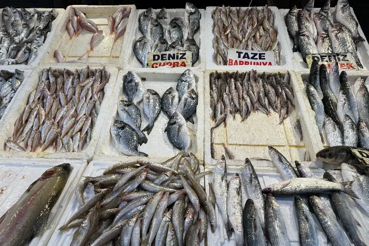 Akdeniz’de Balık Bereketi