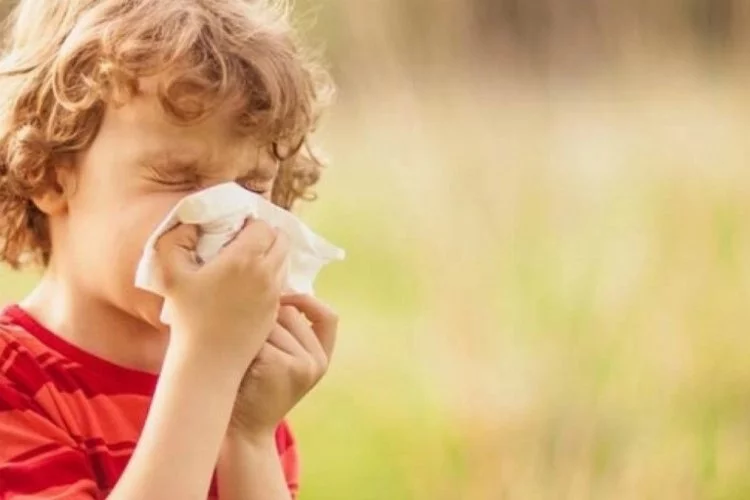 Alerjik çocuklar için 14 öneri