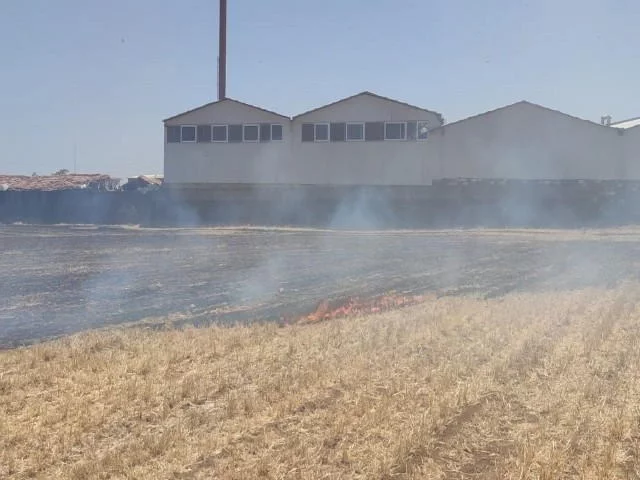 Anız yangını az kalsın fabrikayı yok ediyordu