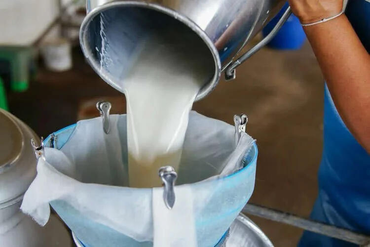 Çiğ Süt Üretimi 2023 Yılında Yüzde 0,4 Azaldı