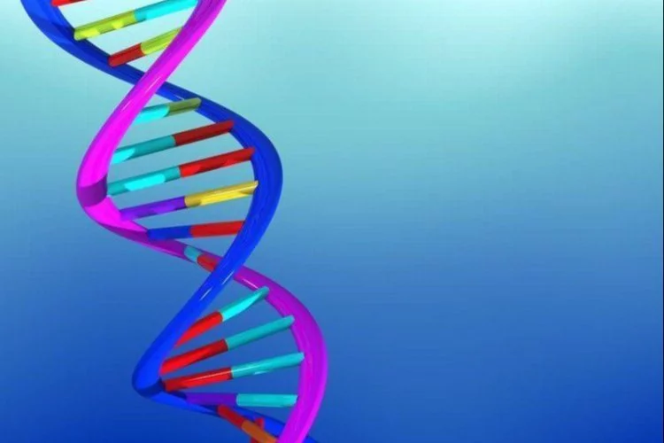 DNA Hasarını Önlemek Mümkün Olabilir Mi