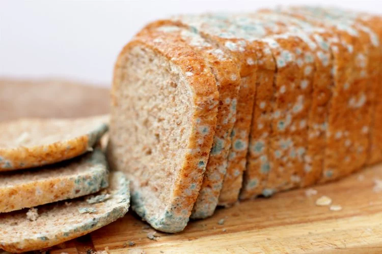 Ekmeğin küflenmesi nasıl önlenir? Küflü ekmek tüketilir mi?- Gaziantep Ekspres Gazetesi