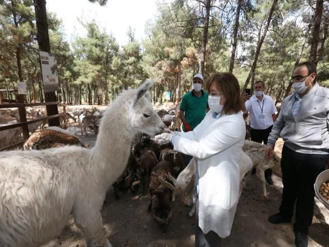 Gaziantep Hayvanat Bahçesi yeniden açılışı için gün sayıyor