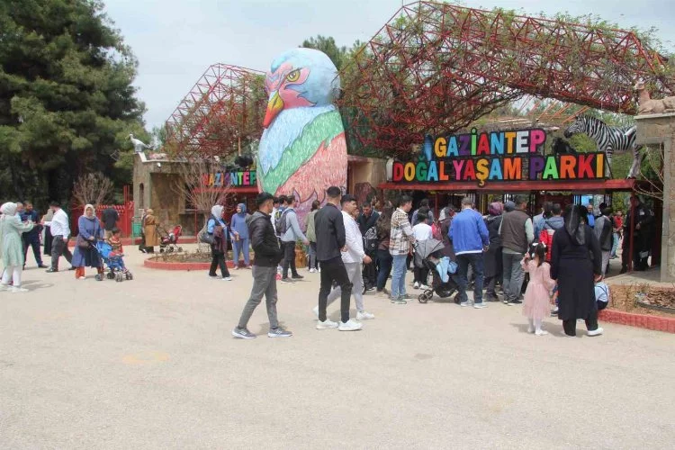 Hayvanat bahçesini bayramın ilk 2 gününde 12 bin kişi ziyaret etti