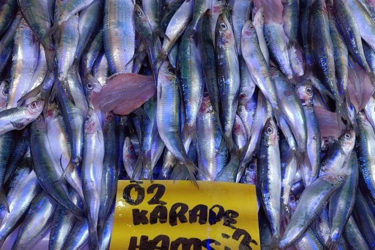 Kırmızı ve beyaz ete göre fiyatı makul olan balığa yoğun ilgi