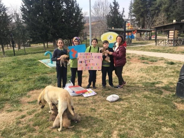 Öğrencilerden sokak hayvanlarına destek