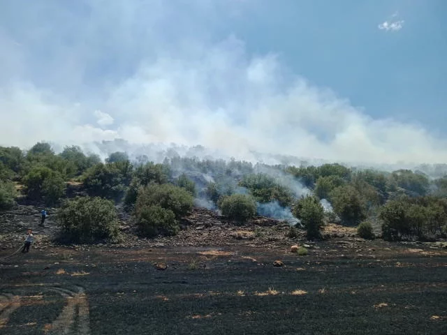 Ormanlık alanda yangın