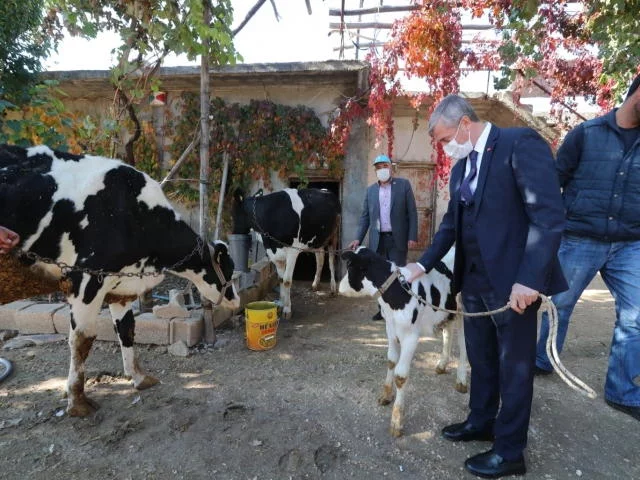 Şahinbey, hayvan yetiştiricilerini destekliyor
