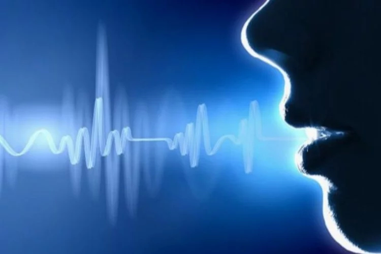 Ses Estetiği nedir?