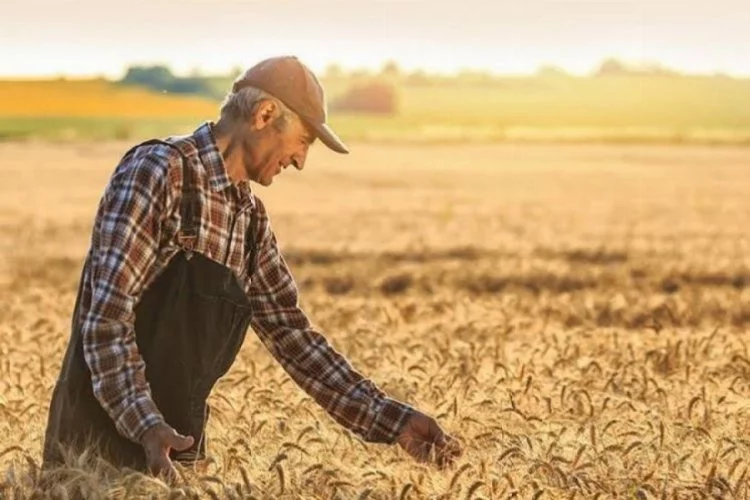 Tarım-ÜFE Nisan’da Yıllık Yüzde 60,77 Arttı