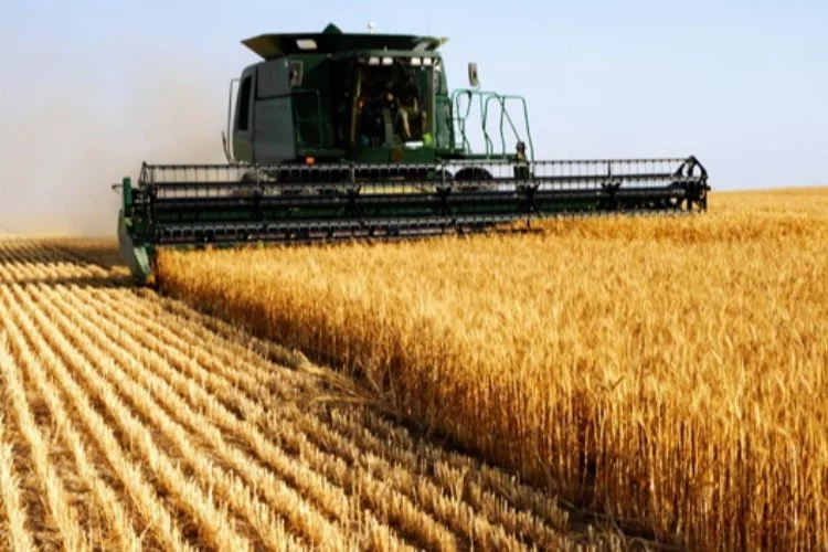 Tarım ürünleri üretici fiyat endeksi yıllık yüzde 76,35 arttı