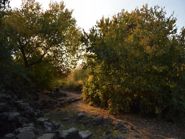 Tilmen Höyük Arkeolojik Parkı'nda sonbahar