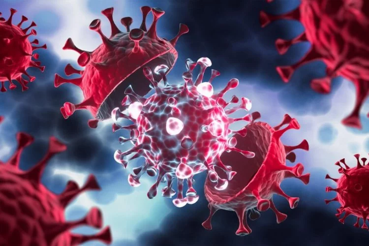 “X Hastalığı, En Ölümcül 11 Virüs Salgınına Karşı Geliştirilen Bir Proje”