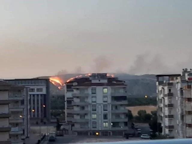 Zergil Dağı'ndaki orman yangını söndürüldü